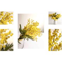 Картина Stamprint Желтая осень CS001 SET5 (90x140)