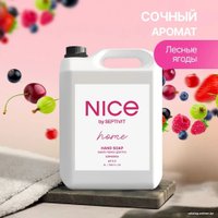  Septivit Мыло-пена Euphoria (5 л)