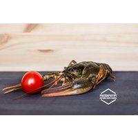  Rakivminske Раки живые XL (80-100 г)