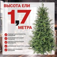 Ель Winter Time BX06-1842T 1.75 м