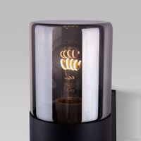 Уличный настенный светильник Elektrostandard Roil 35125/D (черный/дымчатый)