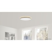 Светильник-тарелка Yeelight Halo Ceiling Light YLXD50YL