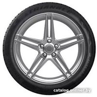 Зимние шины Triangle TW401 195/55R16 91H