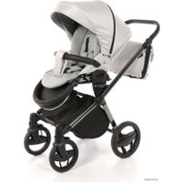 Универсальная коляска Invictus V-Plus (2 в 1, 01)