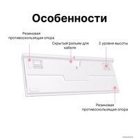 Клавиатура Royal Kludge RK-R87 RGB (белый, RK Blue)