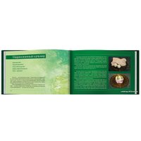  Весь. ЧистоПитание. Книга о чистой, простой и сильной пище (подарочное издание) (Вадим Зеланд)