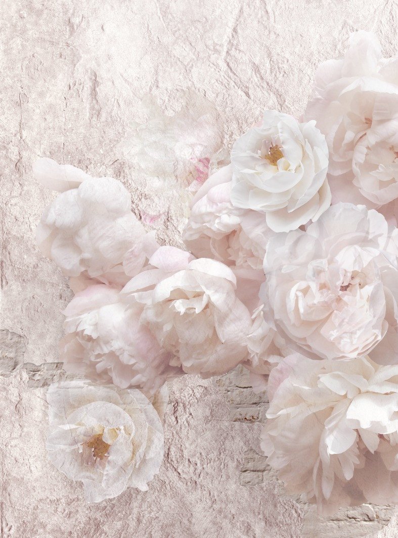 

Фотообои ФабрикаФресок Нежные Пионы 3D 1192270 (200x270)