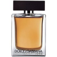 Туалетная вода Dolce&Gabbana The One For Men EdT (100 мл)