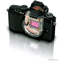 Беззеркальный фотоаппарат Olympus OM-D E-M5 Body