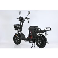 Электровелосипед Smart Balance Master Pro 50 Ah 2025 в Бресте