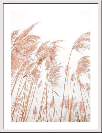 Картина Miram Живой гербарий. Пампасная трава 230401611 (30х40)