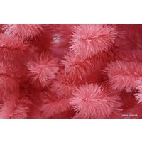 Пихта Toyland Розовая 1.2 м