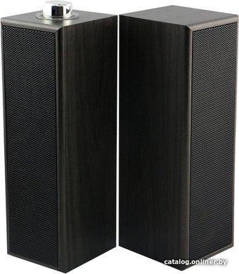 Акустика SmartBuy Torch SBA-2560