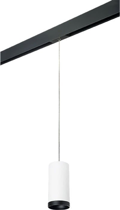 

Трековый светильник Lightstar Rullo PRORP64863487