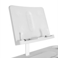 Парта Anatomica Avgusta + стул + выдвижной ящик + подставка (клен/серый)