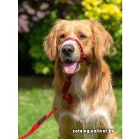 Недоуздок Halti Headcollar 11440B (Size 4, красный) в Гомеле