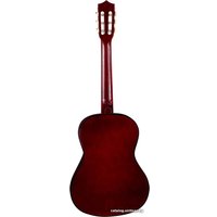 Акустическая гитара Terris TC-3801A SB