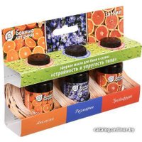  Банные штучки Набор эфирных масел Стройность и упругость тела 30001 3x15 мл