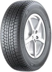 Euro*Frost 6 205/55R16 91H