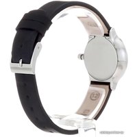 Наручные часы Skagen SKW2668