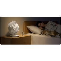 Вентилятор Xiaomi Mijia Desktop Air Circulation Fan BPLDS10DM (с переходником на евровилку)