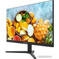 Монитор Hikvision DS-D5024FN10