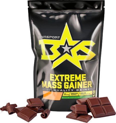 

Протеин сывороточный (концентрат) Binasport Extreme Mass Gainer (1000г, шоколад)