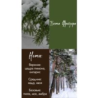 Ароматический воск Gentle Art Саше Снежинка с ароматом Пихта Фрейзера