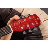 Акустическая гитара ROKSO FT-R38B-3TS