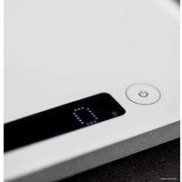 Кухонные весы BORK N780 wt