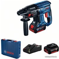 Перфоратор Bosch GBH 180-LI Professional 0611911121 (с 2-мя АКБ, кейс)