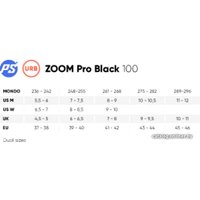 Роликовые коньки Powerslide Zoom Pro 100 908336 (р. 43-44)