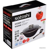 Казан Satoshi 808-029