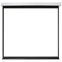 Проекционный экран Future Vision Business 270 270x169 W270WMW