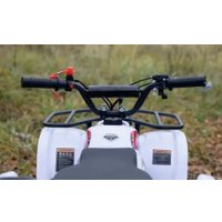 Квадроцикл AVM Grizlik 49 (белый)