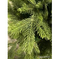 Ель GreenTerra Арлберг 2.1 м