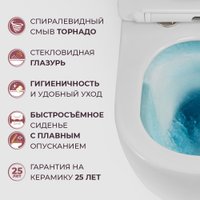 Унитаз подвесной Cezares Stream CZR-2426-TH-TOR/SC в Борисове