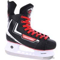 Коньки Tempish Rental R36 (р. 45)