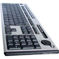 Клавиатура Chicony KB-0420