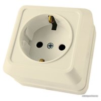 Розетка TDM Electric Ладога SQ1801-0016