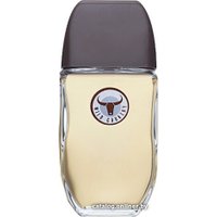 Туалетная вода Avon Wild Country EdT (75 мл) в Орше