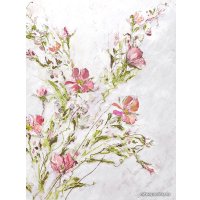 Картина Orlix Розовый плющ CA-12519 80x60 см