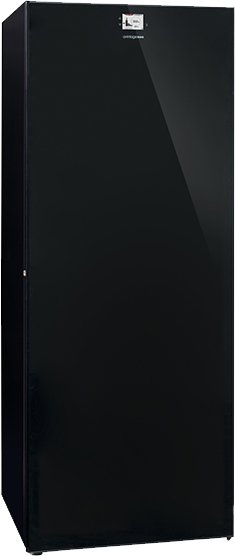 

Винный шкаф Avintage DVA305PA+