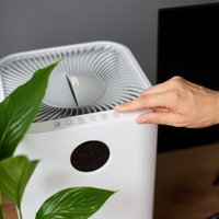 Увлажнитель воздуха Evolution HF-577 Smart + набор кружек Makkua Cup Cozyday MC270