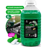 Стеклоомывающая жидкость Grass Summer Shine 110453 5 л