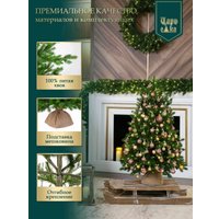 Ель Царь Елка Астерия премиум 90см 3D АСТР/ПР-90