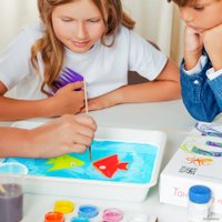 Набор для рисования Ebru Profi Эбру Новый семейный 01013