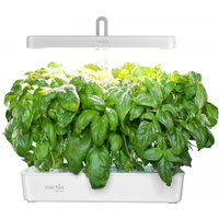 Умный сад CACTUS CS-LEDPOT-10