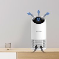 Очиститель воздуха Redmond (Редмонд) AP2209S