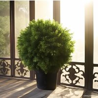 Искусственное растение Merry Bear Home Decor Туя шаровидная KDA0255